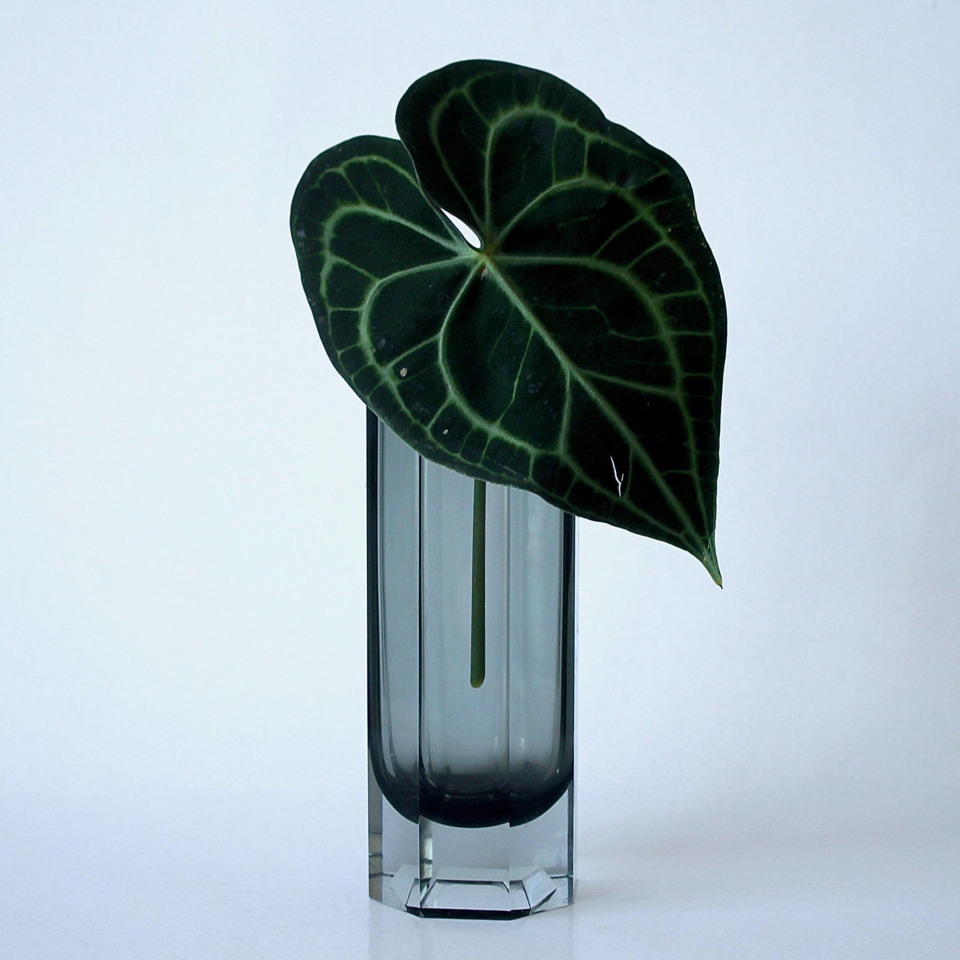Kaj Franck Vase