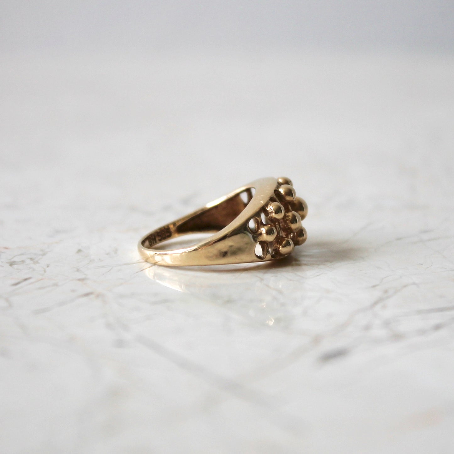 Bernhard Hertz Ring