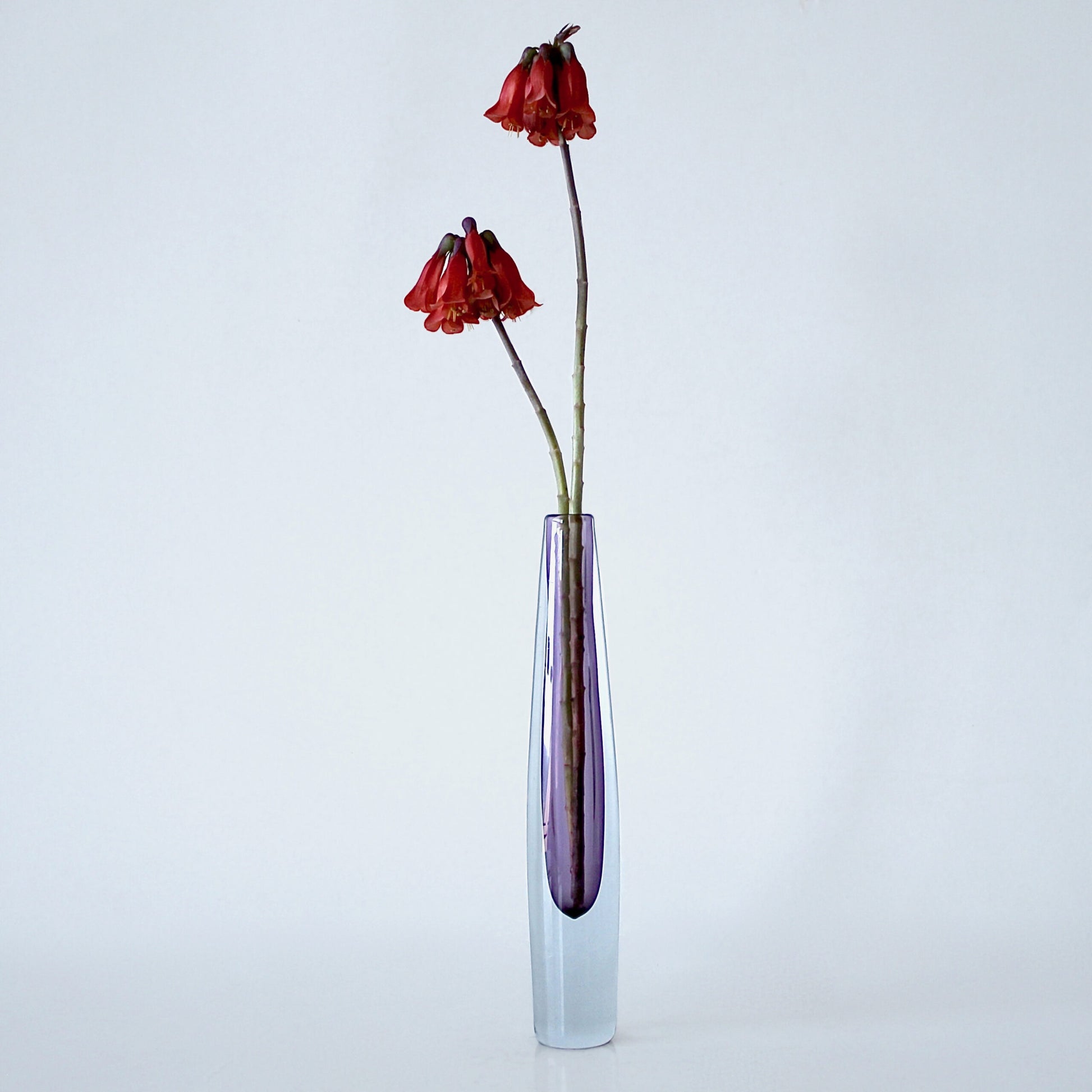 Asta Stromberg Vase